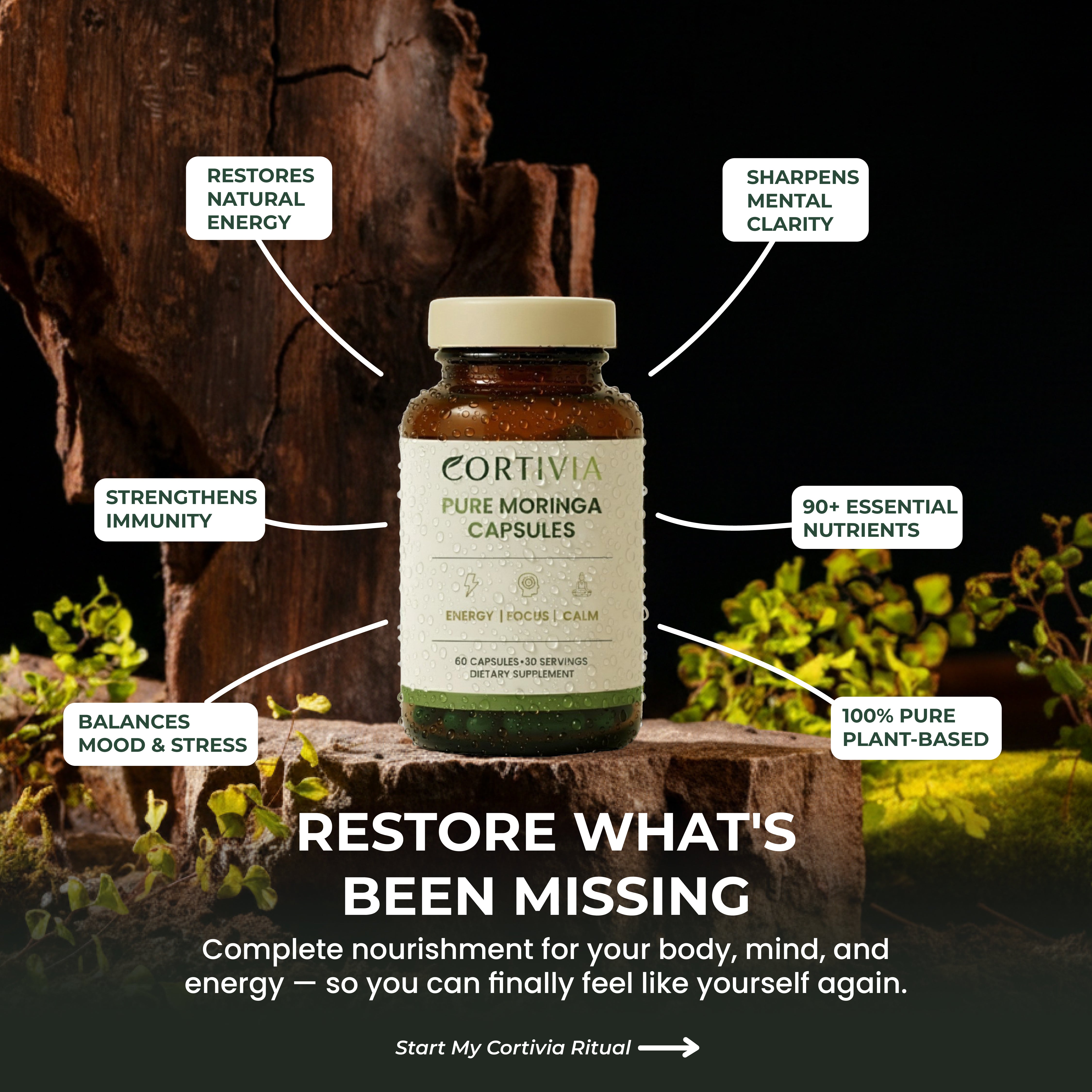 CORTIVIA PURE MORINGA CAPSULES